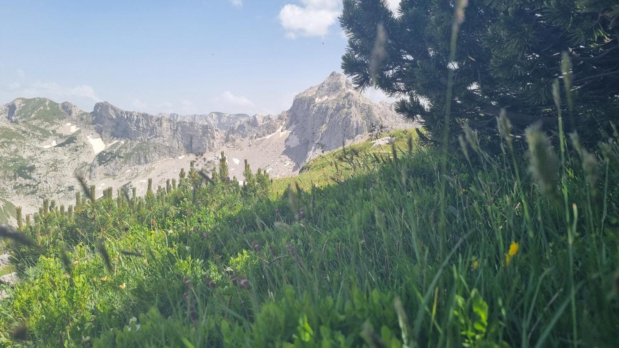 Durmitor Glamp Hotel ชาเบลียค ภายนอก รูปภาพ